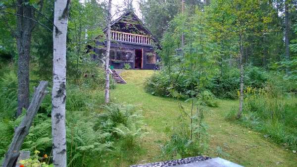 Vuokramökki 3 h + tupakeittiö + sauna, Rautalampi