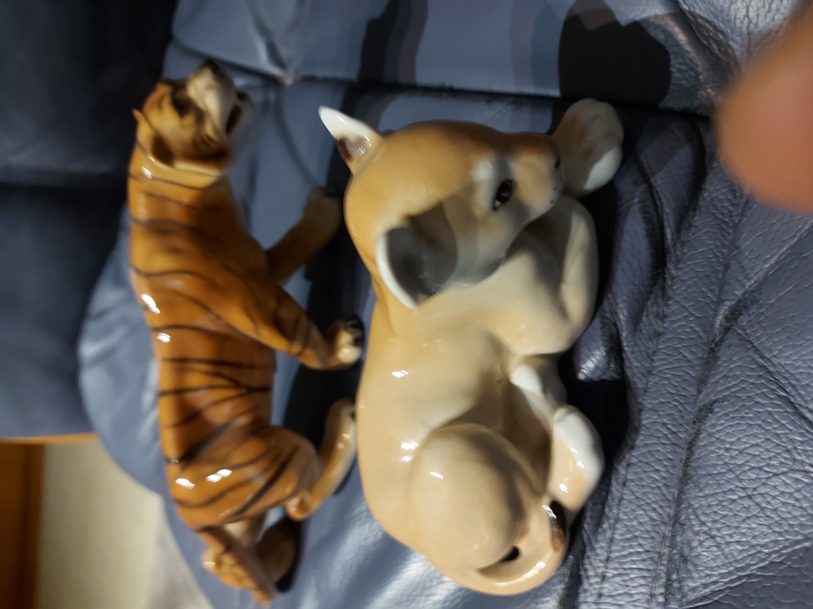 Tiikeri ja leijonanpentu