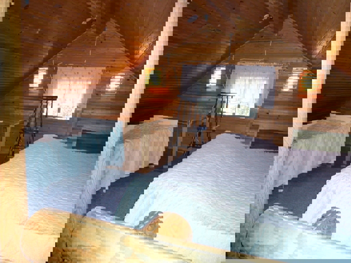 a3340b72-30b1-4568-ab2e-024da3313f18.jpg