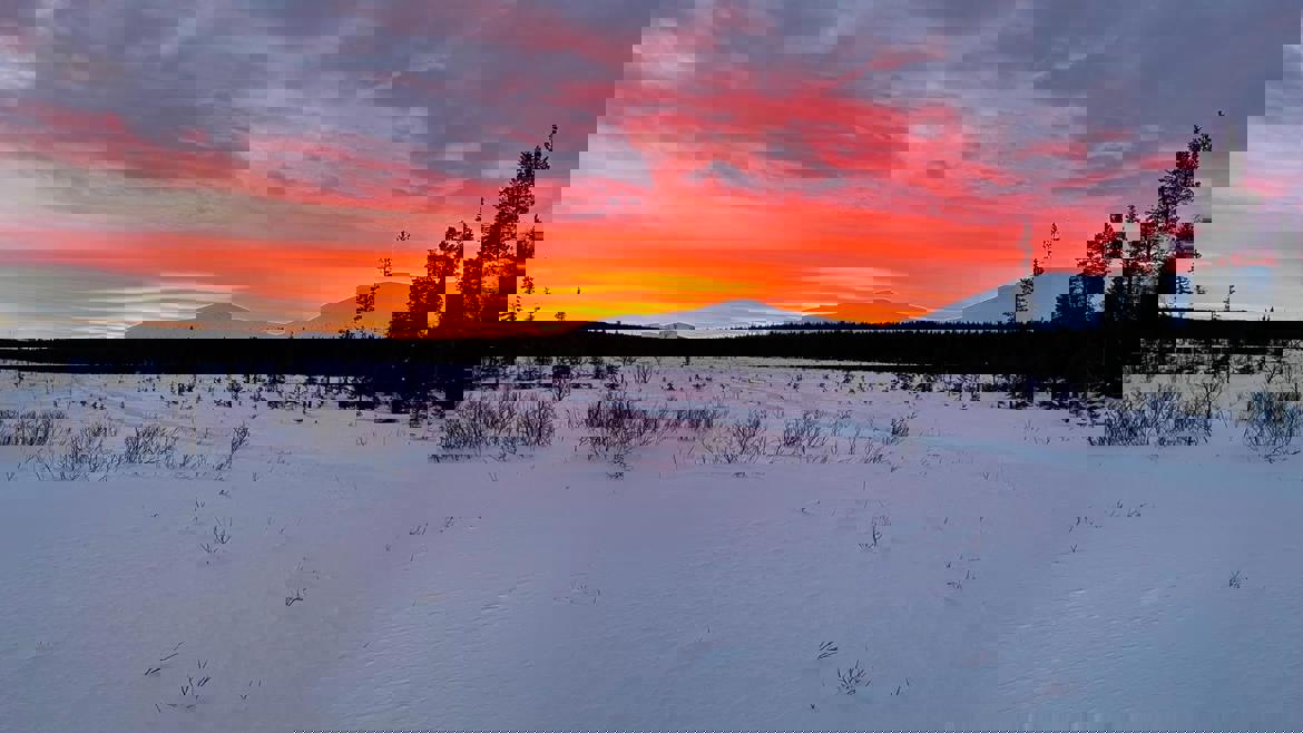 ba9d6720-dfa1-4646-b7ed-920bdb253127.jpg