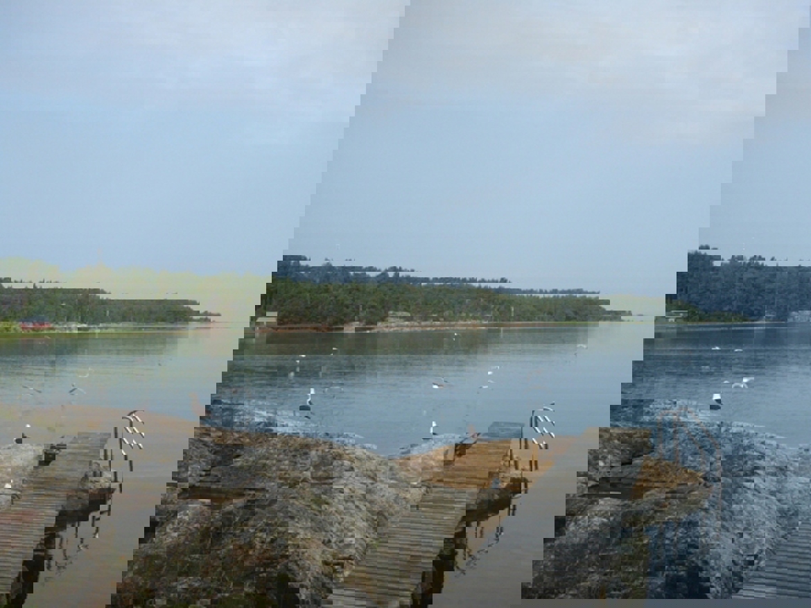ed9d8af6-dd9b-417d-a5ac-c094d6b83128.jpg